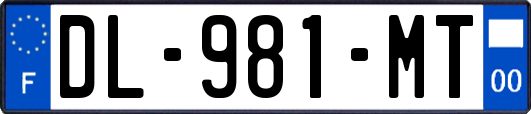 DL-981-MT