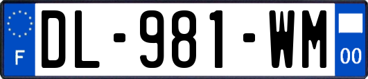 DL-981-WM