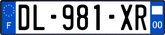 DL-981-XR