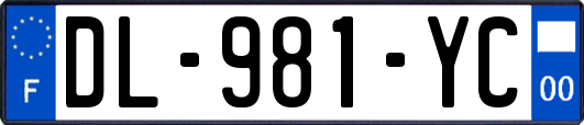 DL-981-YC