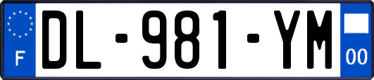 DL-981-YM