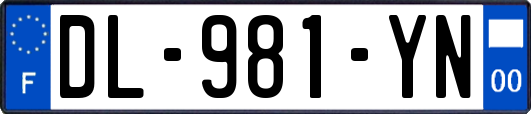 DL-981-YN