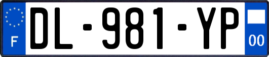 DL-981-YP