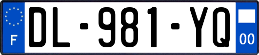 DL-981-YQ