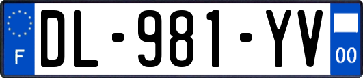 DL-981-YV