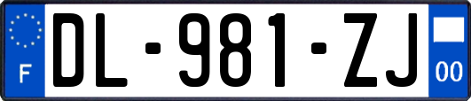 DL-981-ZJ