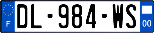 DL-984-WS