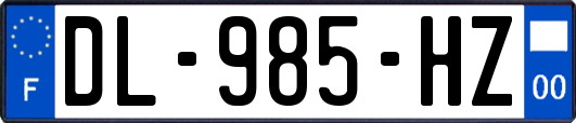 DL-985-HZ