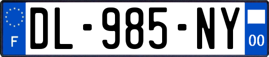 DL-985-NY