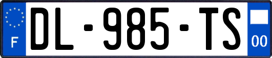 DL-985-TS