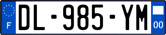 DL-985-YM