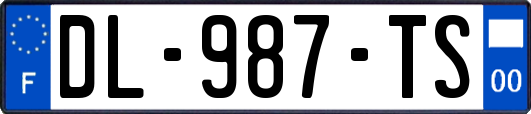 DL-987-TS