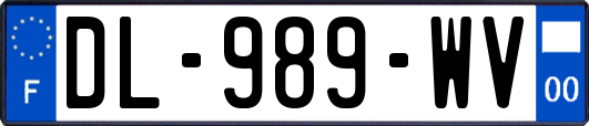 DL-989-WV