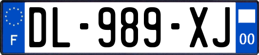 DL-989-XJ