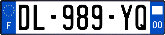 DL-989-YQ