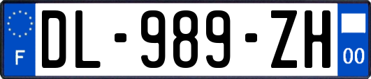 DL-989-ZH