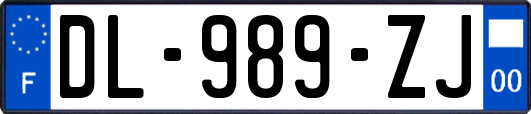 DL-989-ZJ