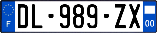 DL-989-ZX