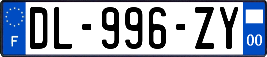 DL-996-ZY