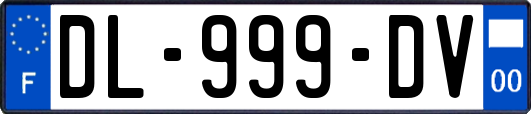 DL-999-DV