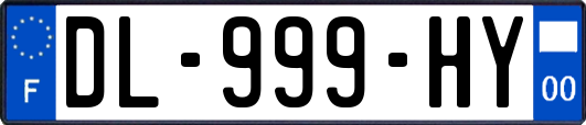 DL-999-HY