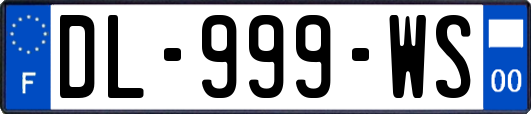 DL-999-WS