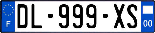 DL-999-XS