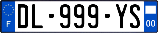 DL-999-YS