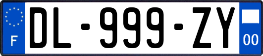 DL-999-ZY