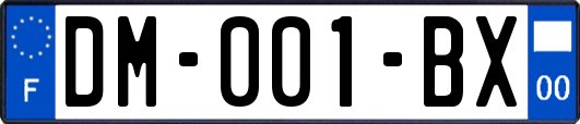 DM-001-BX