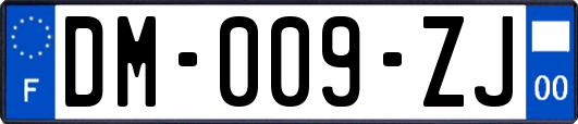 DM-009-ZJ