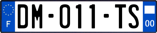 DM-011-TS