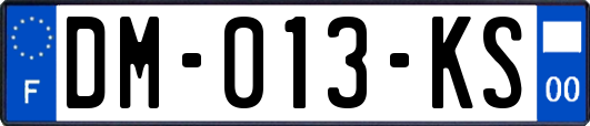 DM-013-KS