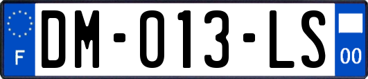 DM-013-LS
