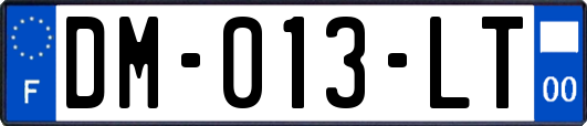 DM-013-LT
