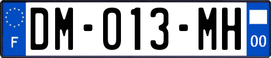 DM-013-MH