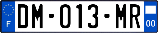 DM-013-MR