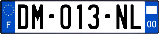 DM-013-NL