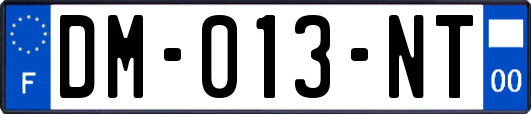 DM-013-NT