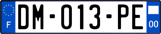 DM-013-PE