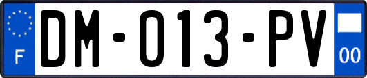 DM-013-PV
