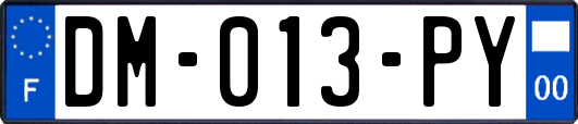 DM-013-PY