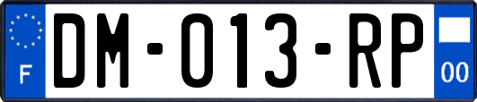 DM-013-RP