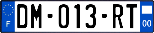 DM-013-RT