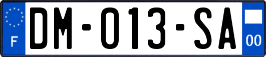 DM-013-SA