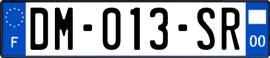 DM-013-SR