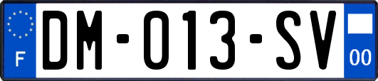 DM-013-SV