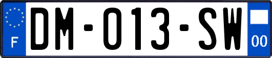 DM-013-SW