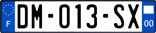 DM-013-SX