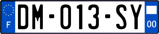 DM-013-SY